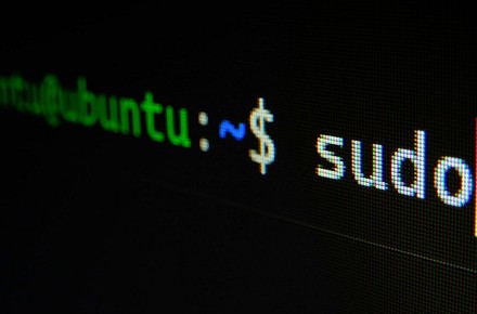 Как установить программу на Линукс: несколько простых способов - «Эксплуатация»