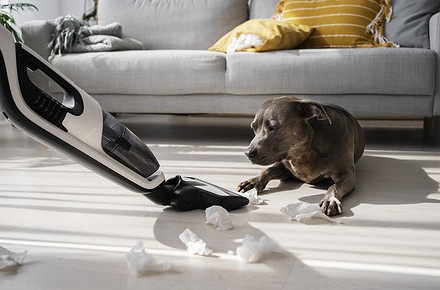 Пылесос стал плохо всасывать: в чем может быть причина - «Эксплуатация»